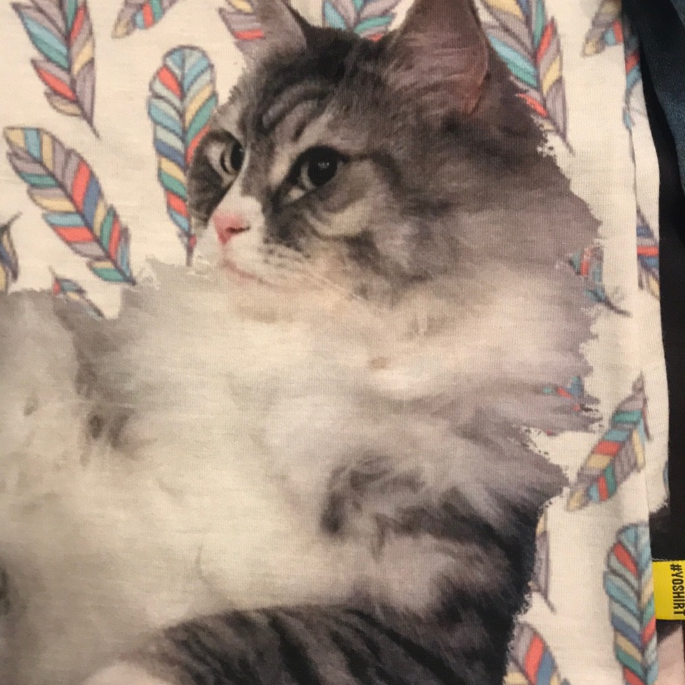 Custom cat shirt? - Picture 2 of 3